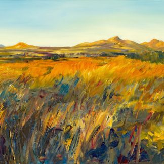 Winter Sunshine, Drumadoon